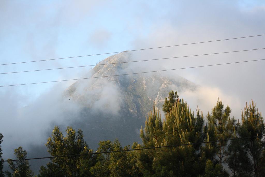 Fijnbosch Cottage And Camping Stormsrivier Chambre photo